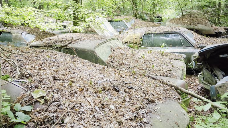 Over 4,400 Cars Spread Across 34 Acres