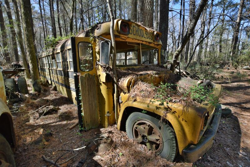 Nature and Metal in a Strange, Beautiful Merger