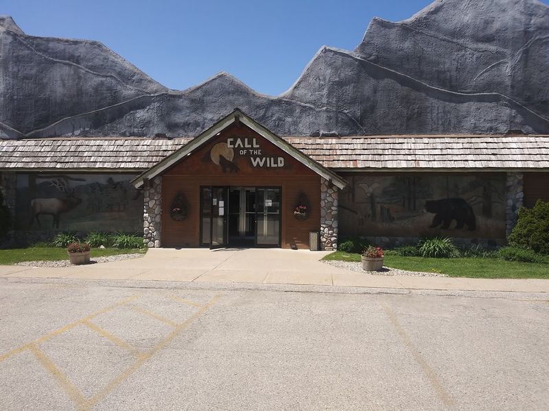 The Sound Effects That Bring Michigan Wildlife to Life