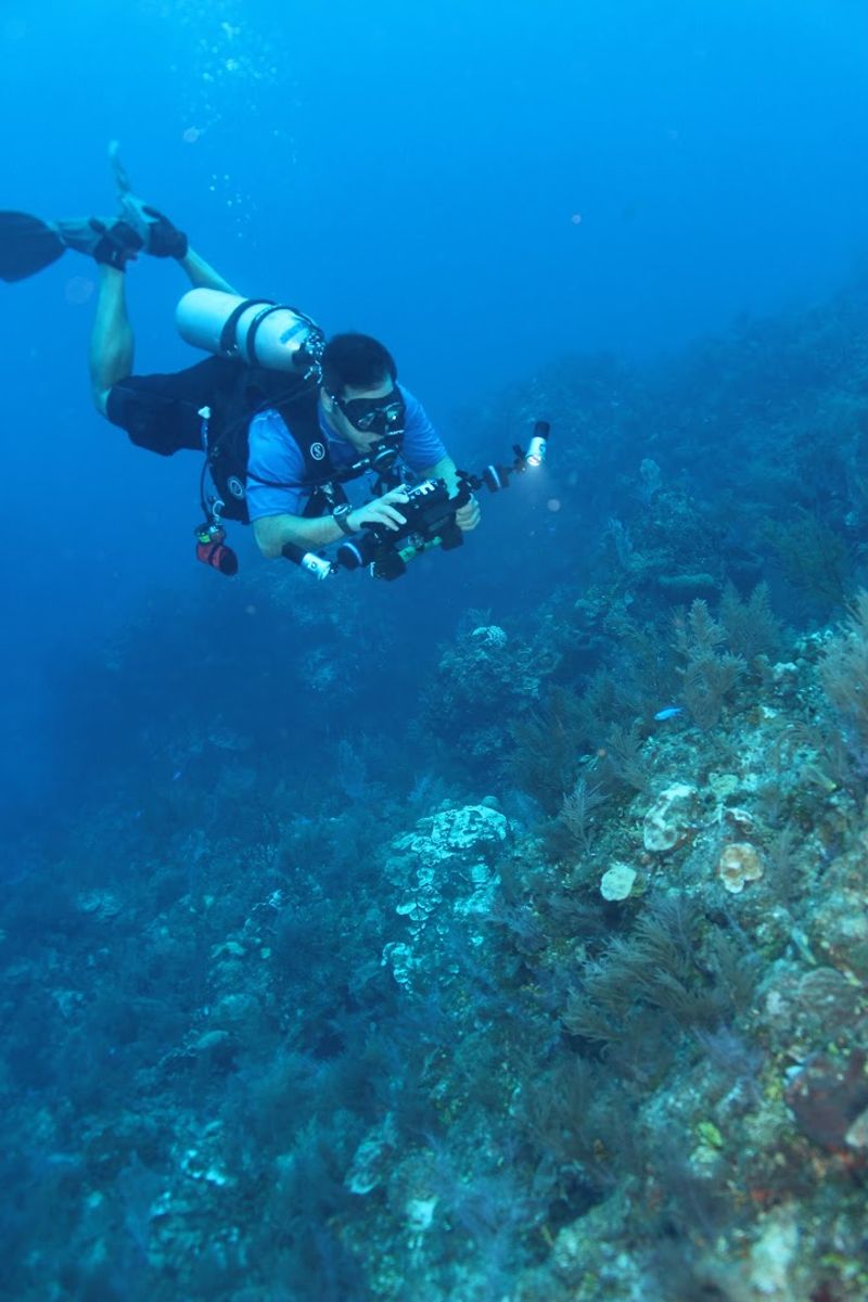 Plan Time for Snorkeling
