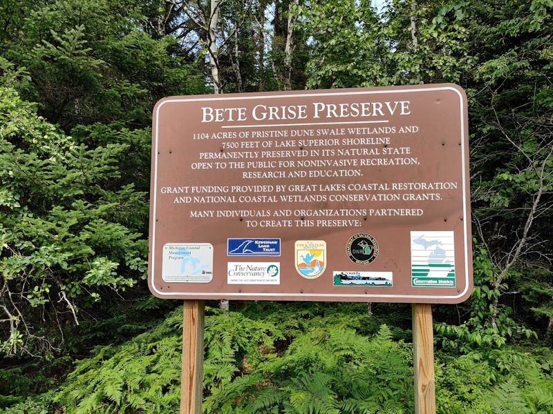 Where Exactly You Are Going