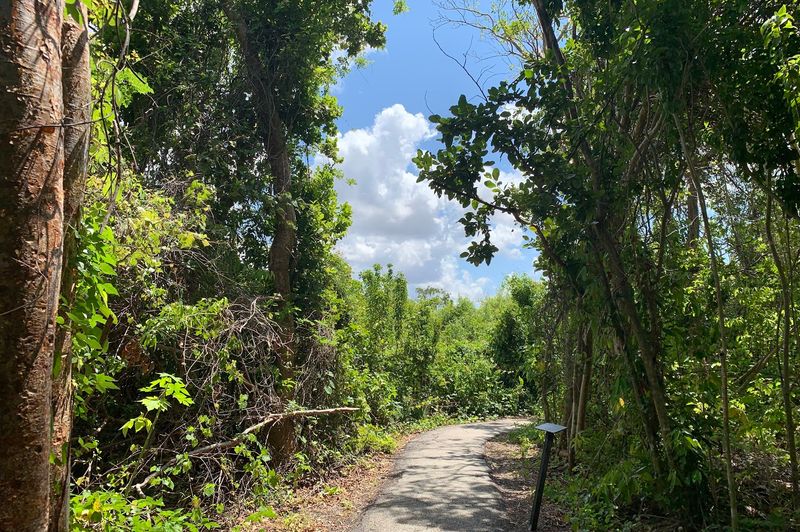 Leave No Trace On A Boardwalk