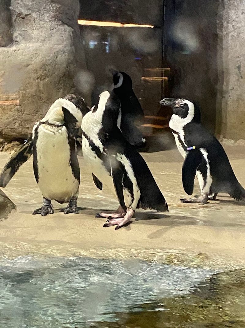 Why People Keep Coming Back Year After Year