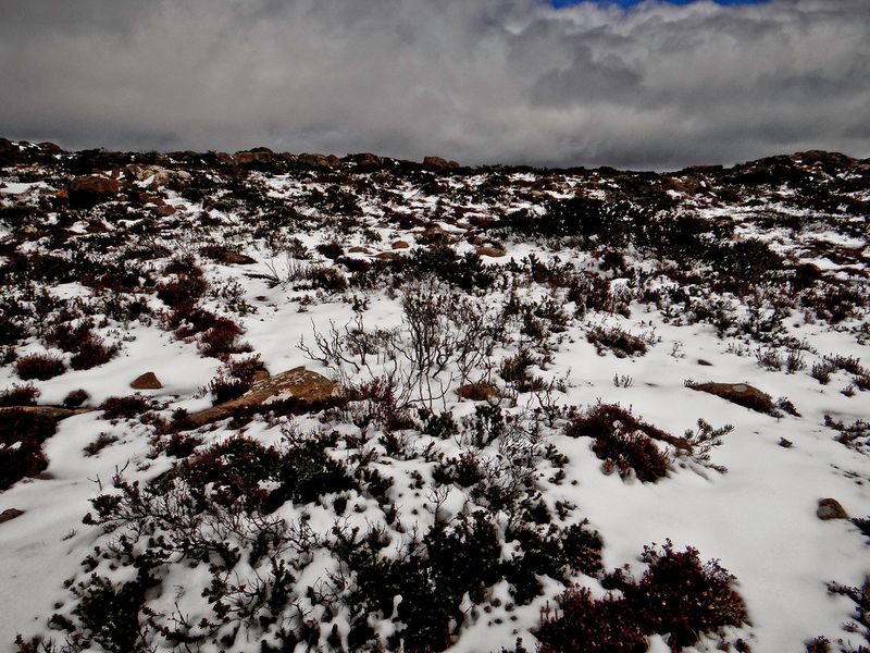 Tasmania, Australia: Cold Is the New Cool