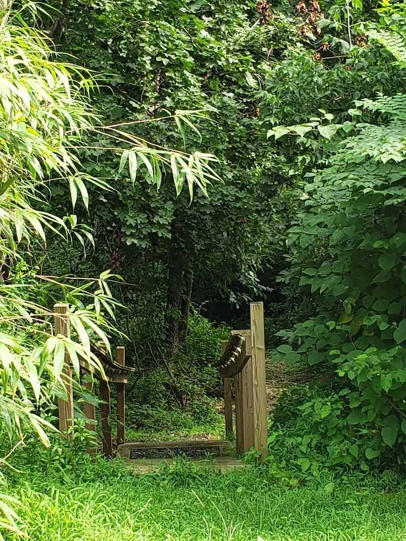 Pets, Walks, and Quiet Afternoons