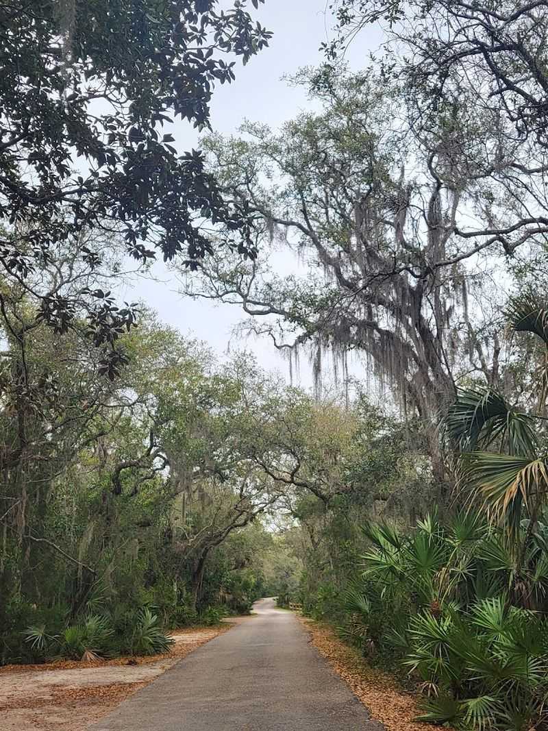 Biking Through the Park: Two Wheels and Total Freedom