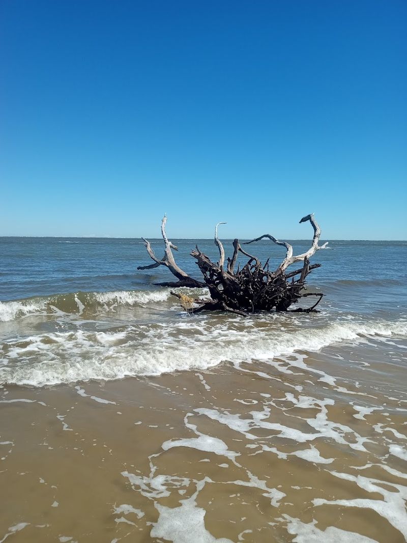 Best Times of Year to Make the Trip