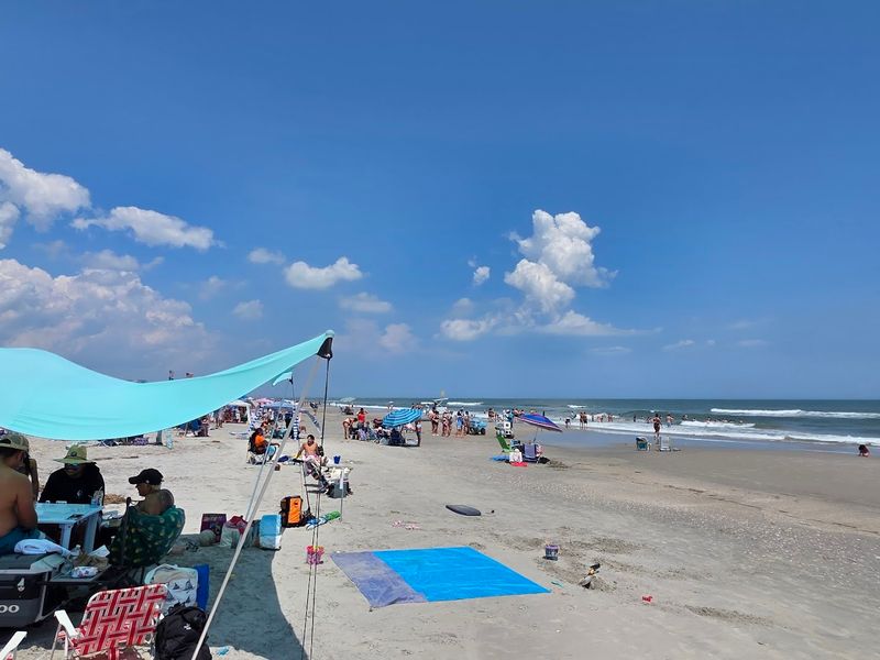 How Crowded Does It Actually Get