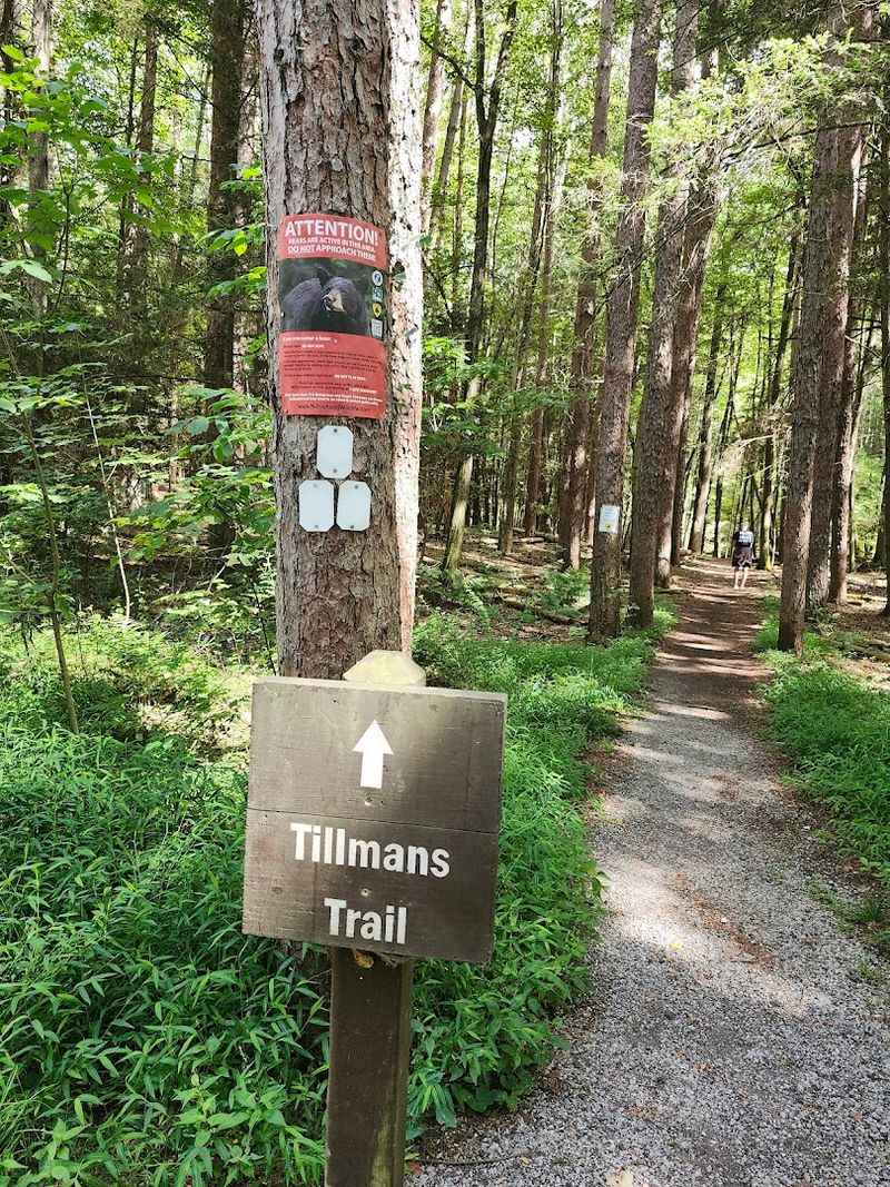 Trail Markers and Attention Span