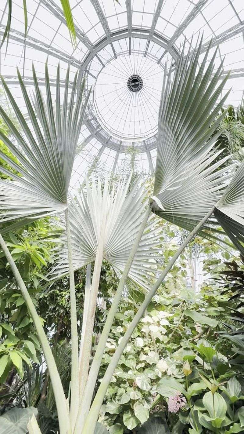 History that still feels alive