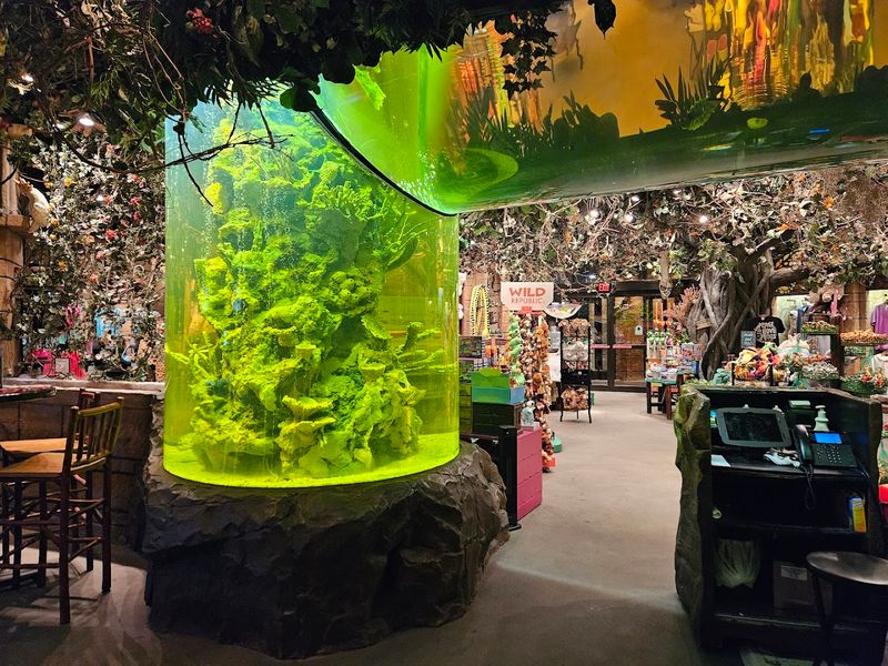 Small Things to Know