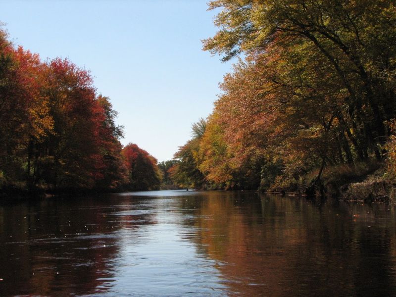 Why It Still Holds Attention