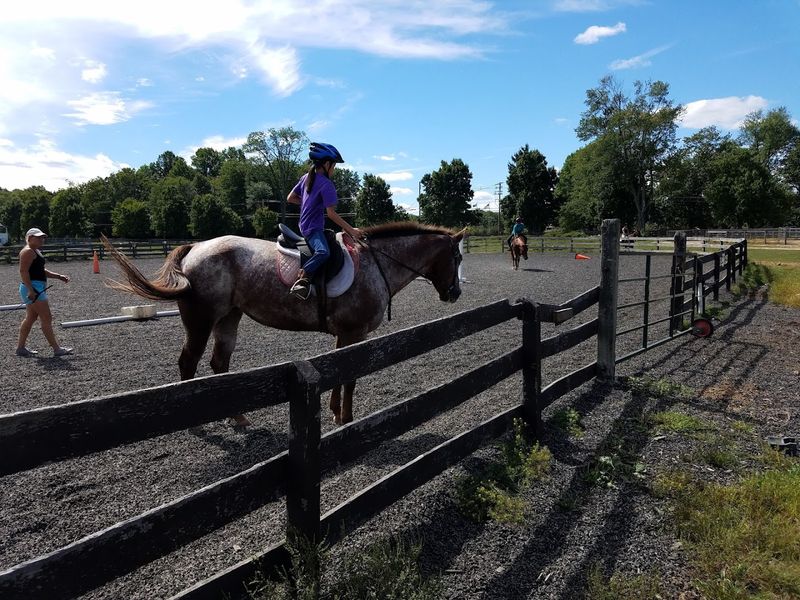 Horseback Riding Through the Reservation