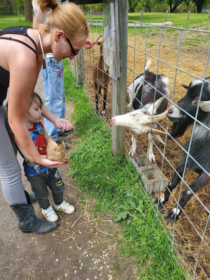 The Animal Area Adds a Different Kind of Stop