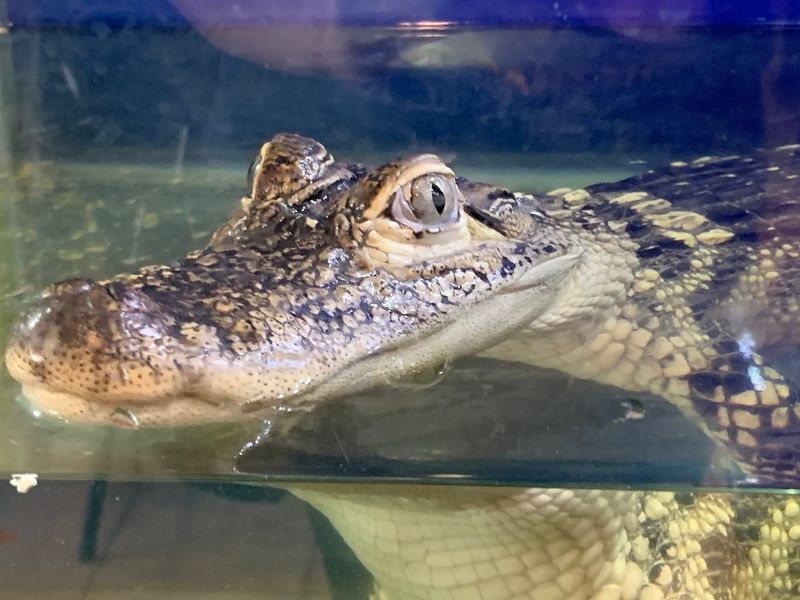 A Maze of Rooms Full of Surprises