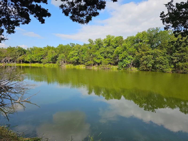 The Address and Setting of the Park