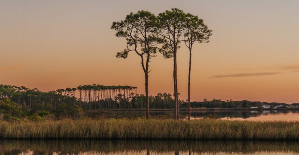 People Can’t Believe This Stunning Coastal State Park Is Actually in Florida