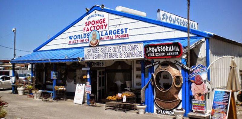 Where the Sponge Capital of the World Comes to Life