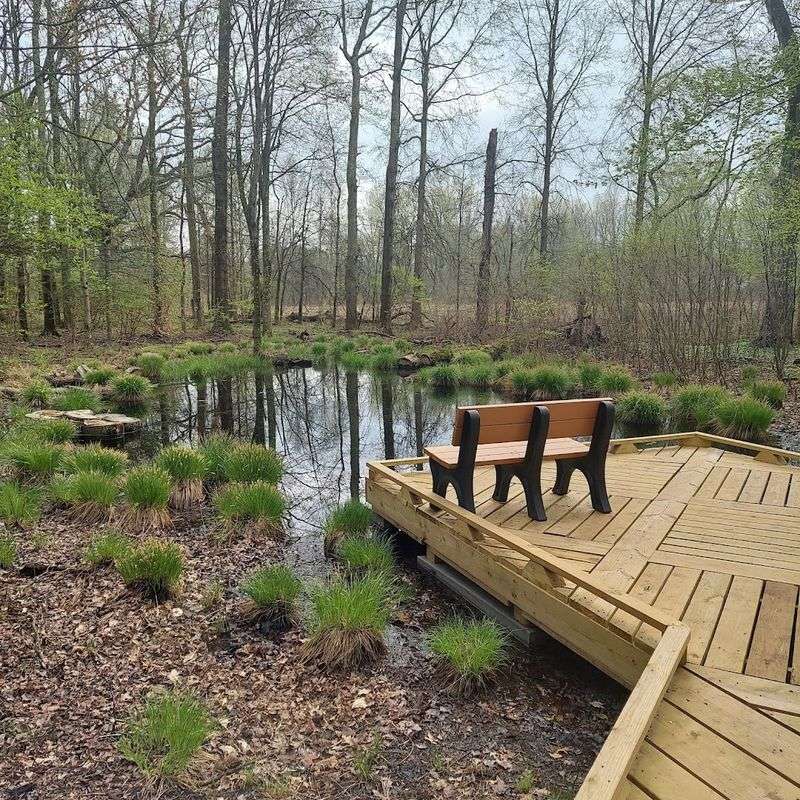 Combining the Visit With Great Swamp