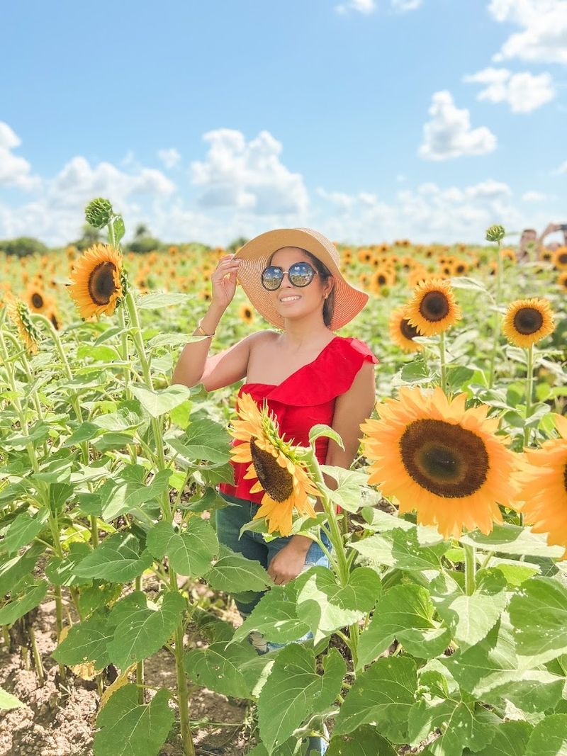 Best Times to Visit and Practical Tips