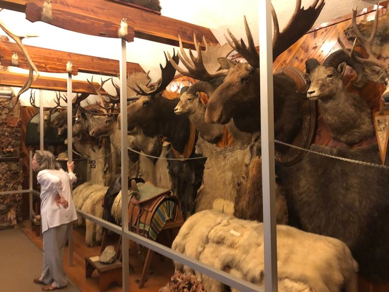 Taxidermy, Artifacts, and the Art of Keeping Everything