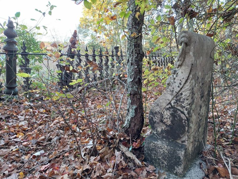 The Freetown-Fall River State Forest