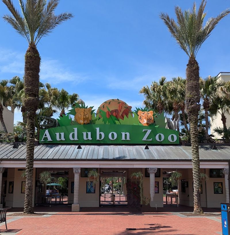 Audubon Zoo (Louisiana)
