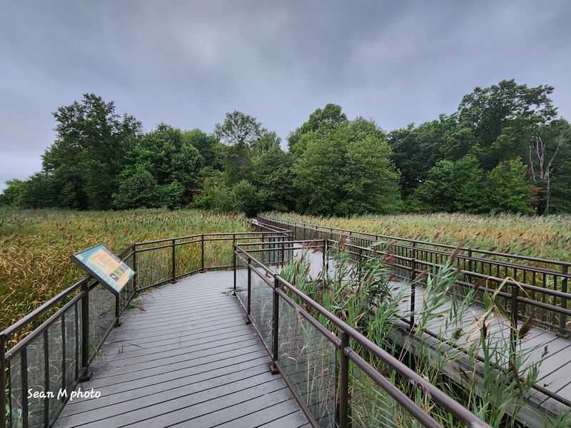 What Makes This Place Worth Returning To