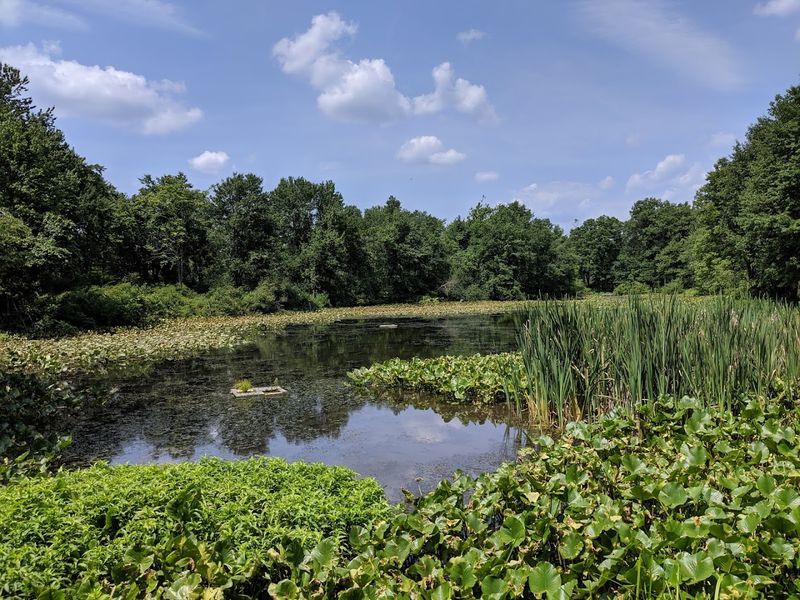A National Wilderness Area Right Next Door