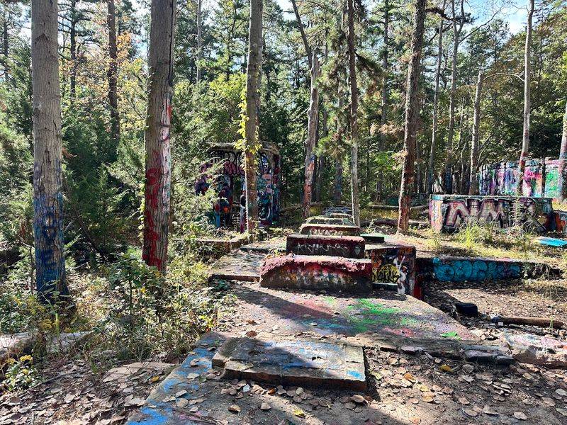 The Pine Barrens Context That Makes This Place Even More Interesting