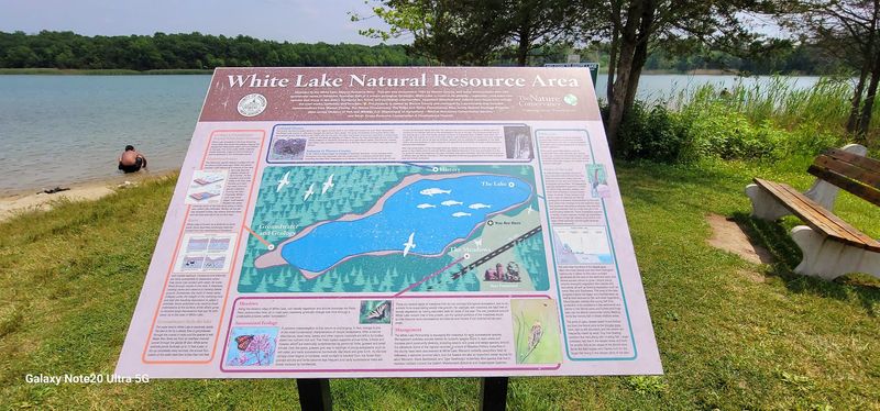 Picnic Spots and Taking a Real Break