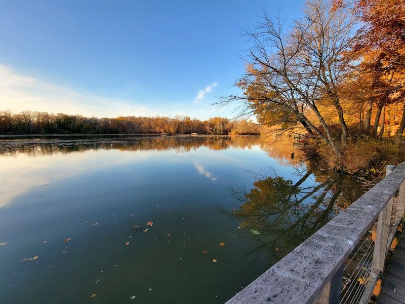 Best Times to Visit and What to Expect