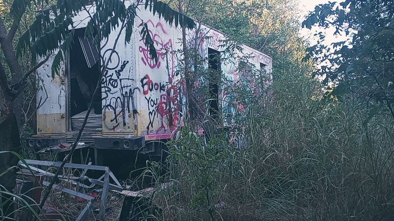 Safety and Practical Tips for Visitors