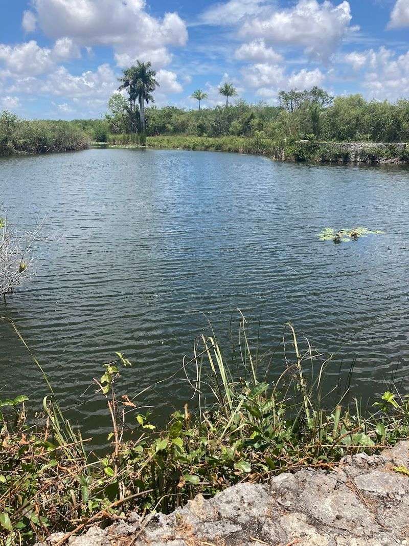 Staying Comfortable In South Florida Weather