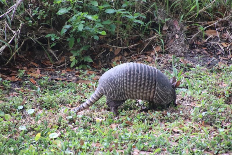 Family Friendly Planning