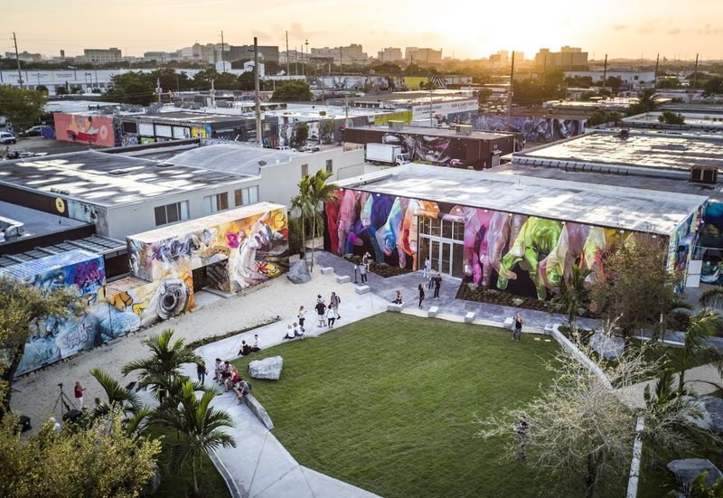 The Surrounding Wynwood Neighborhood