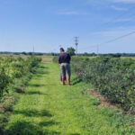 Pick Fresh Blueberries at This Charming Oklahoma Farm