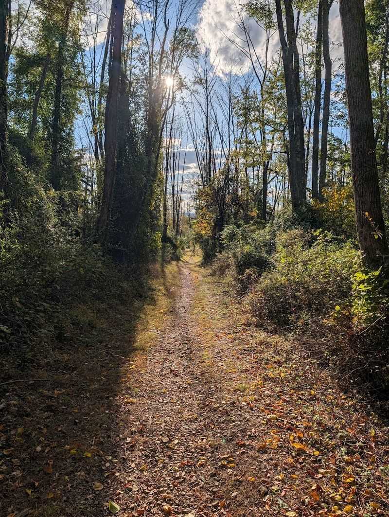 Mountain Biking the Cushetunk Loop
