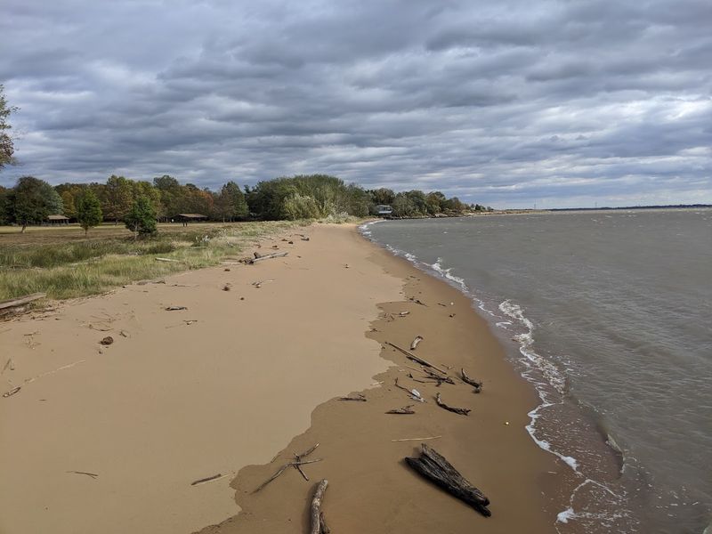 Wildlife, Sea Glass, and Shoreline Finds