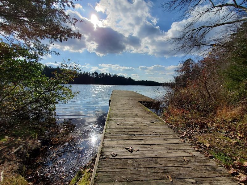 Bird Watching Opportunities Throughout the Park