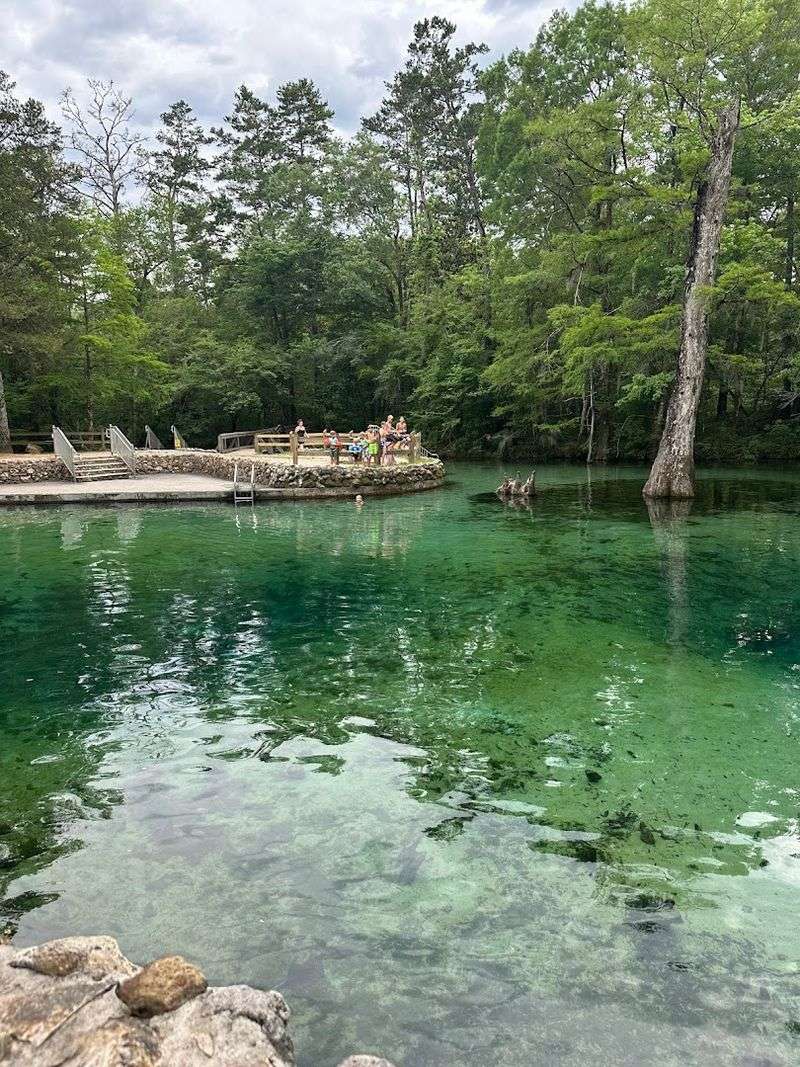 Admission Price That Feels Almost Too Good