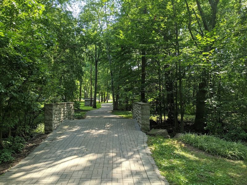 Walking Trails and Walden Pond: Nature Within Reach