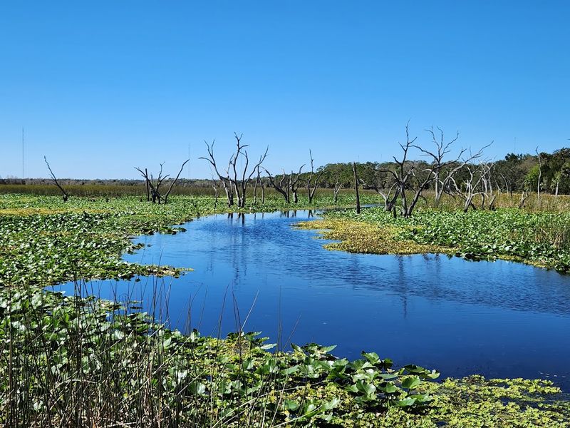 Fort Christmas Historic Park: A Half-Day Add-On