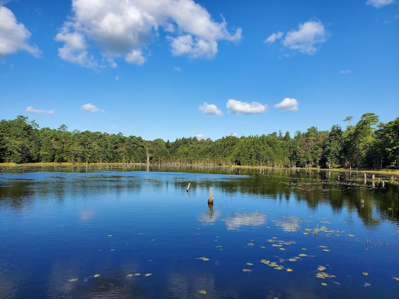 What the Park Looks Like on a Quiet Weekday