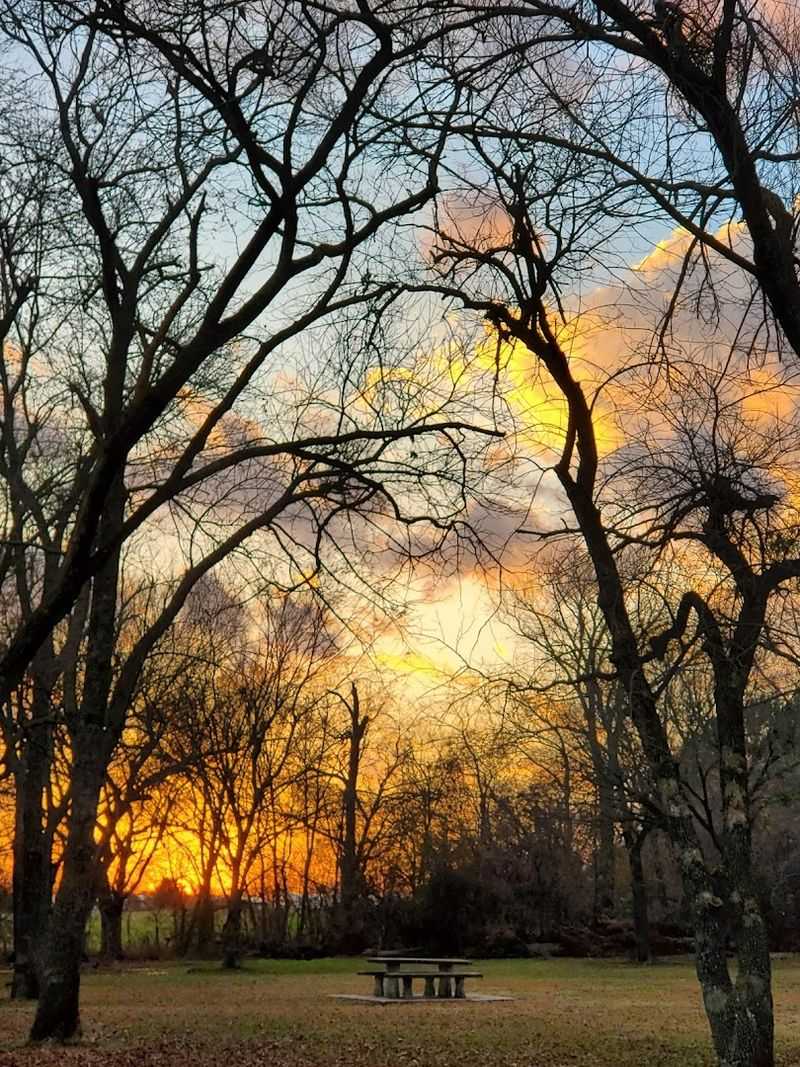 A Park With a Love Story Attached