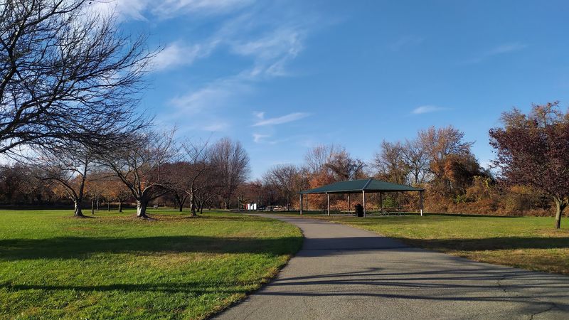 How the Park Handles the Practical Stuff Really Well