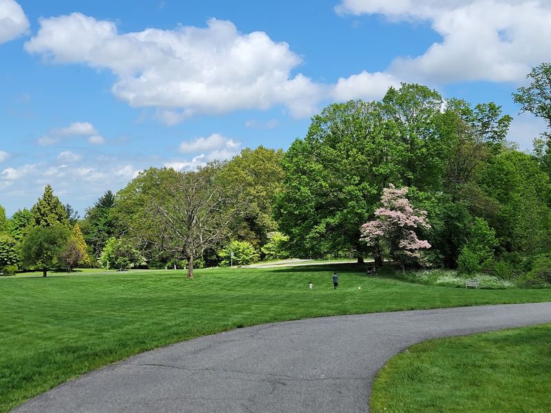 Accessibility That Actually Works for Everyone