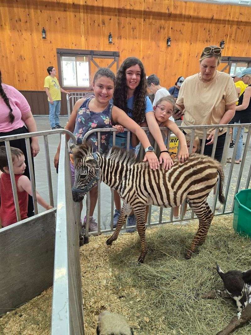 Summer crowds and seasonal extras