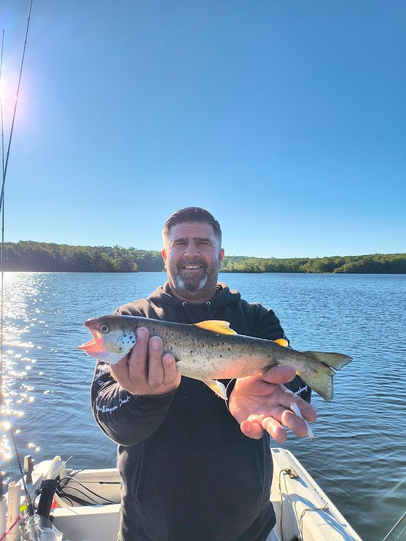 Fishing at Wawayanda: What to Know Before You Cast