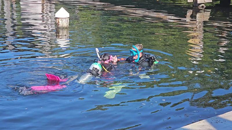 Diving the Lagoon Around the Habitat
